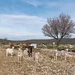 Vila Anita Budak