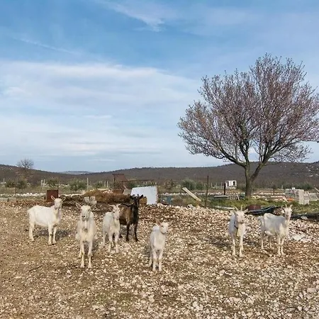 Villa Anita Budak